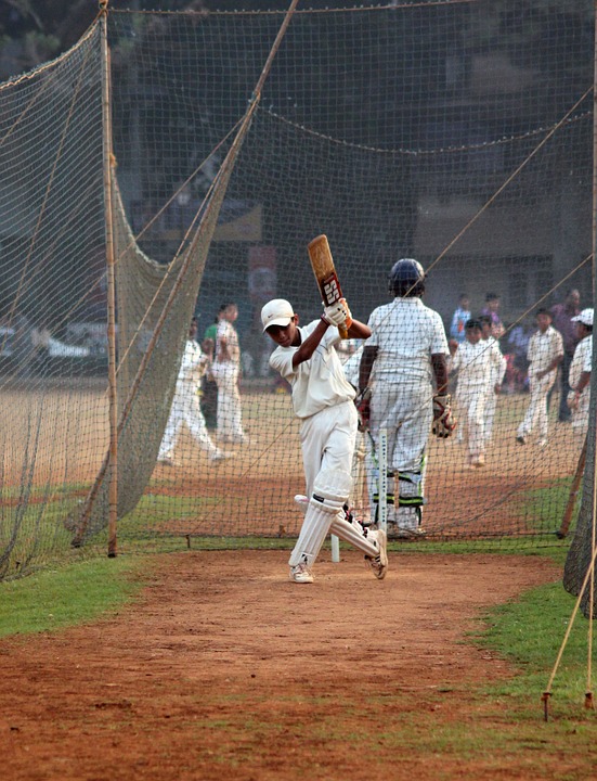 cricket, batsman, ball game