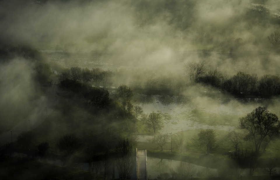 river, fog, steam