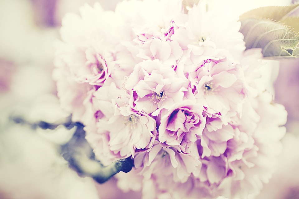 flowers bouquet, lilac, bouquet of flowers