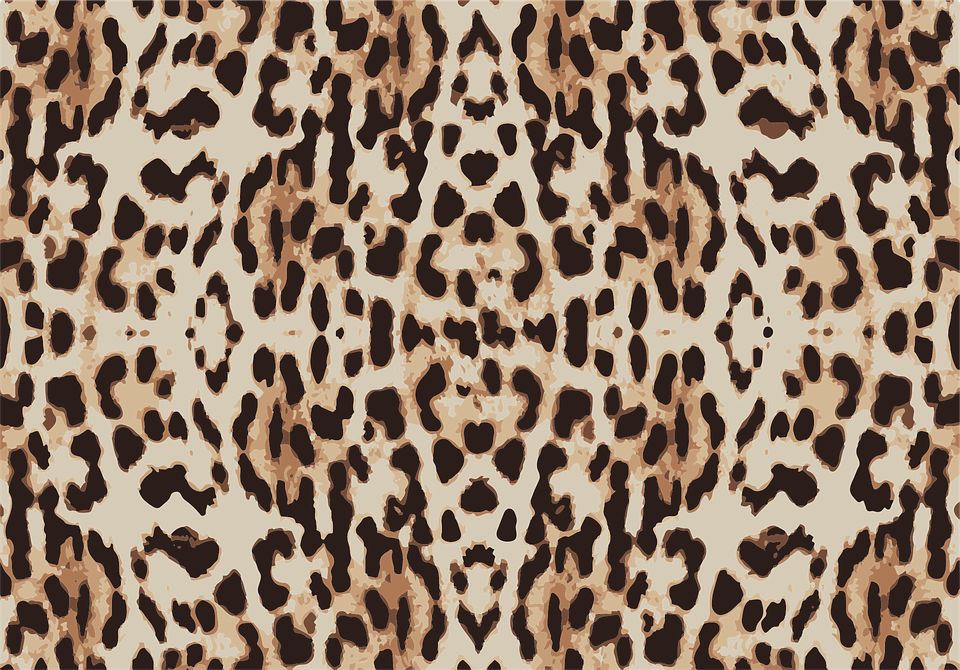 pattern, leopard, skin