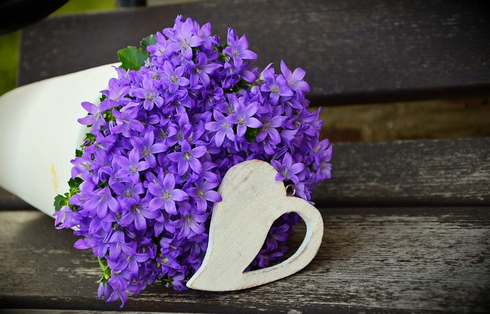flowerpot, flower purple, mother\'s day