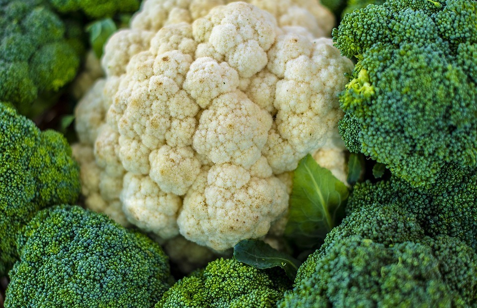 cauliflower, broccoli, farmer