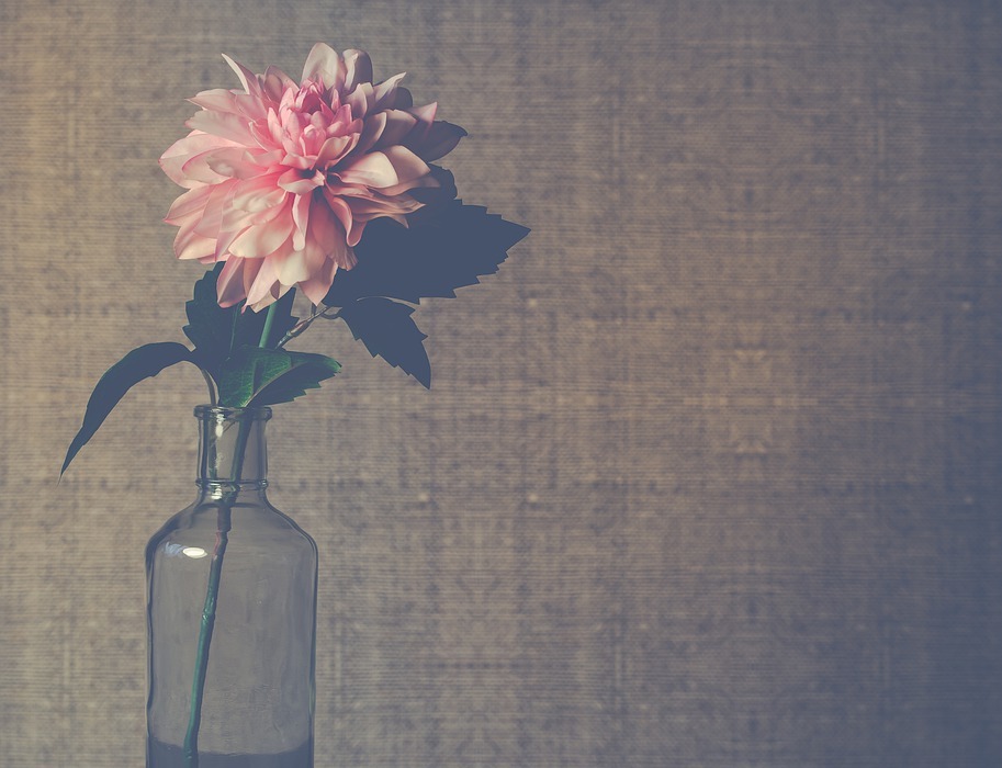 vase, flower, vintage
