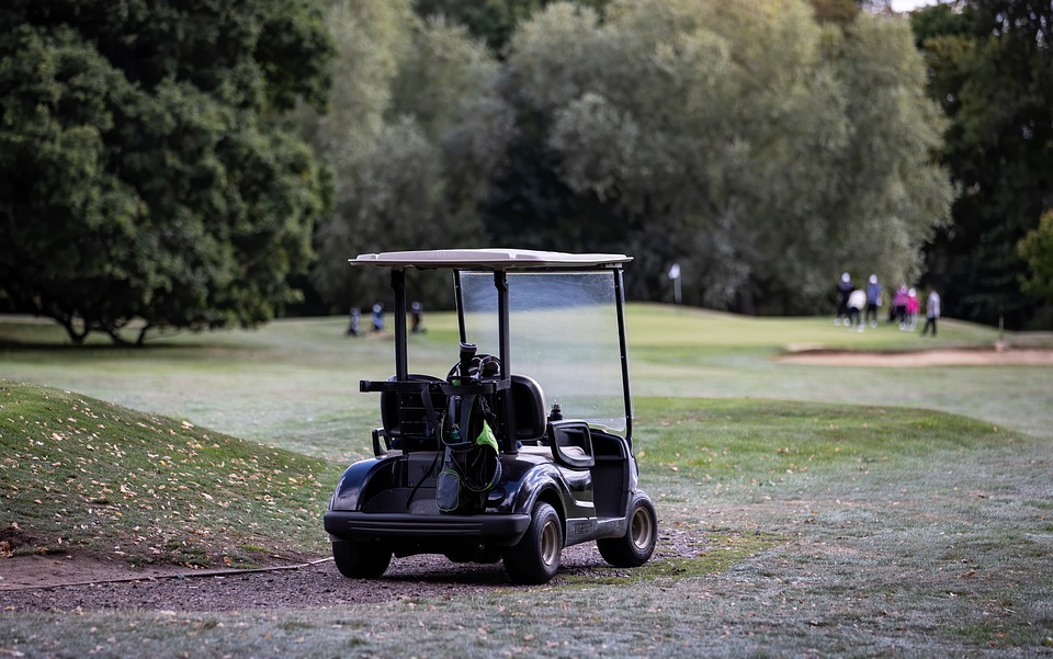 Golf Buggy