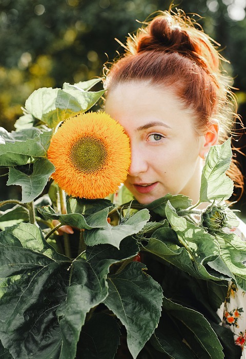 sunflower, redhead, girl