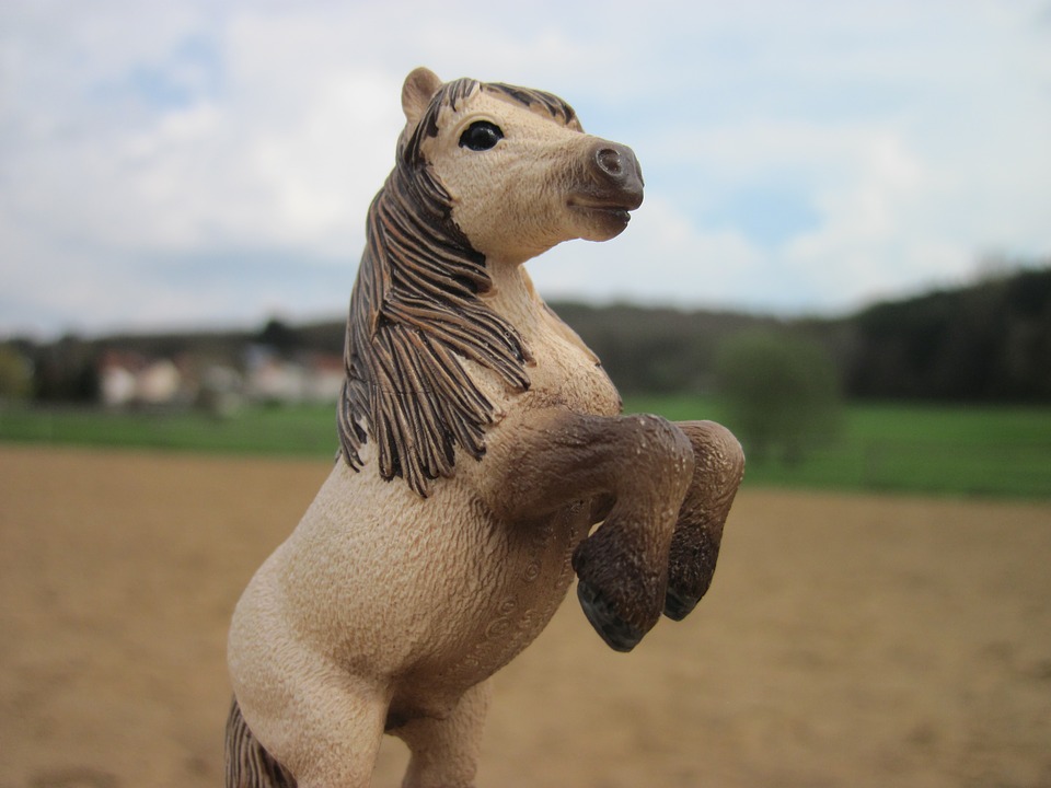 schleich, pony, rise
