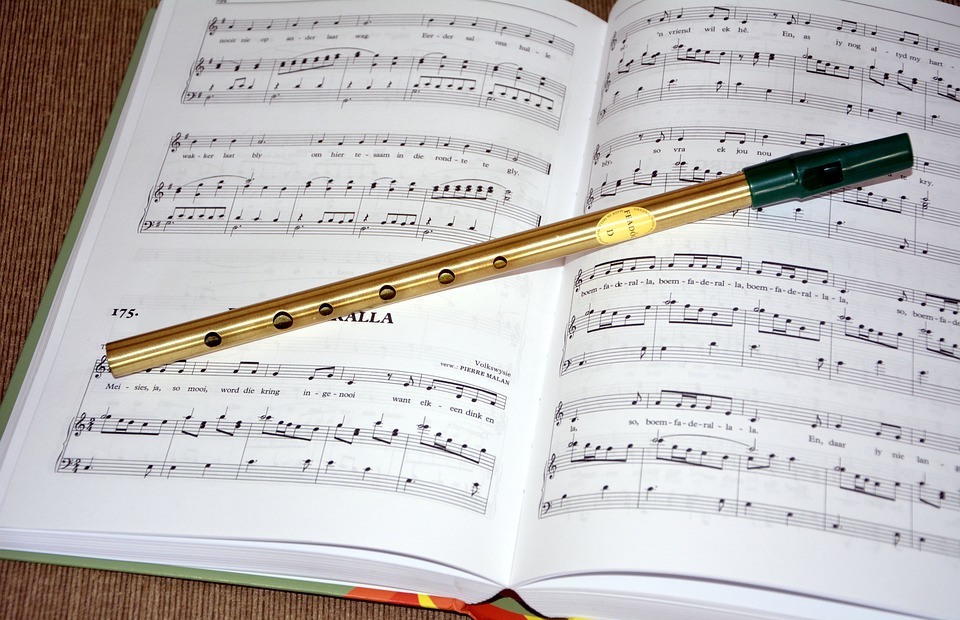 music, irish flute, music book
