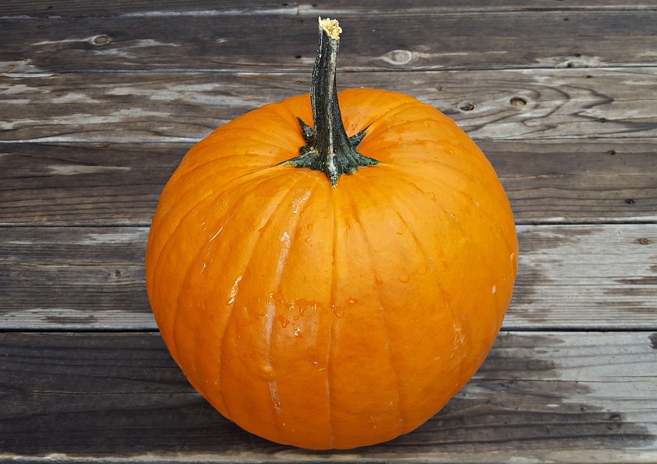 pumpkin, halloween, october