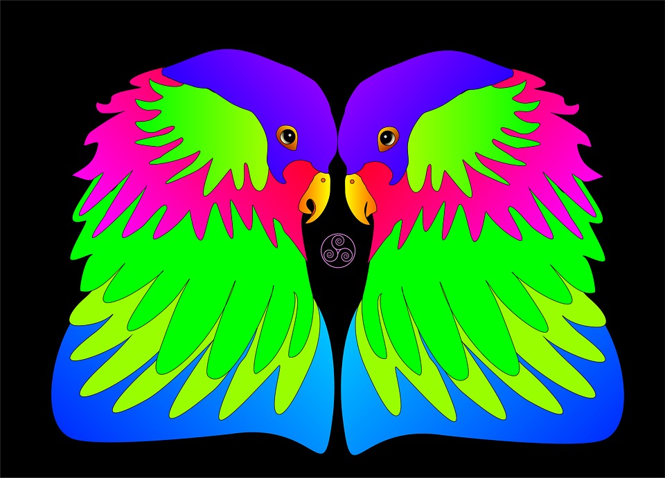 birds, colorful, love
