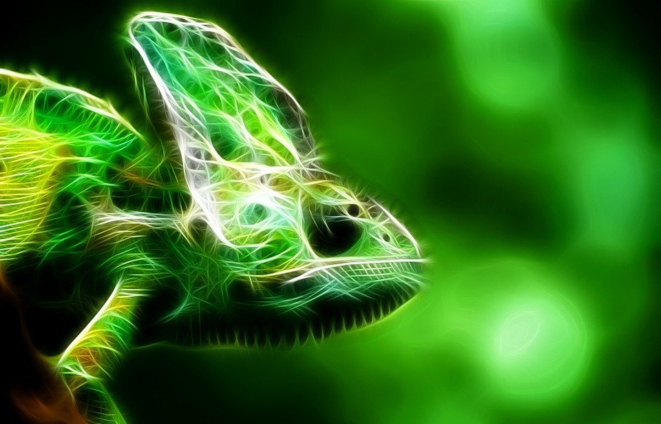 reptile, fractal, green