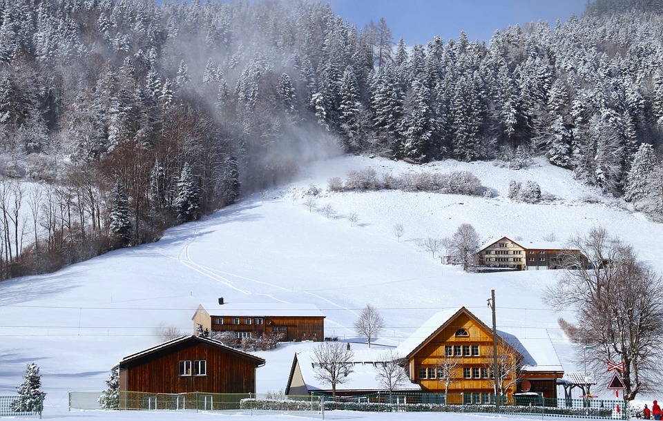 snowy, village, forest
