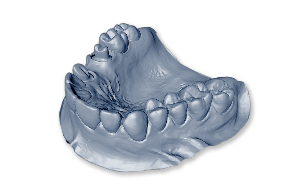 isolated, dental model, mandible