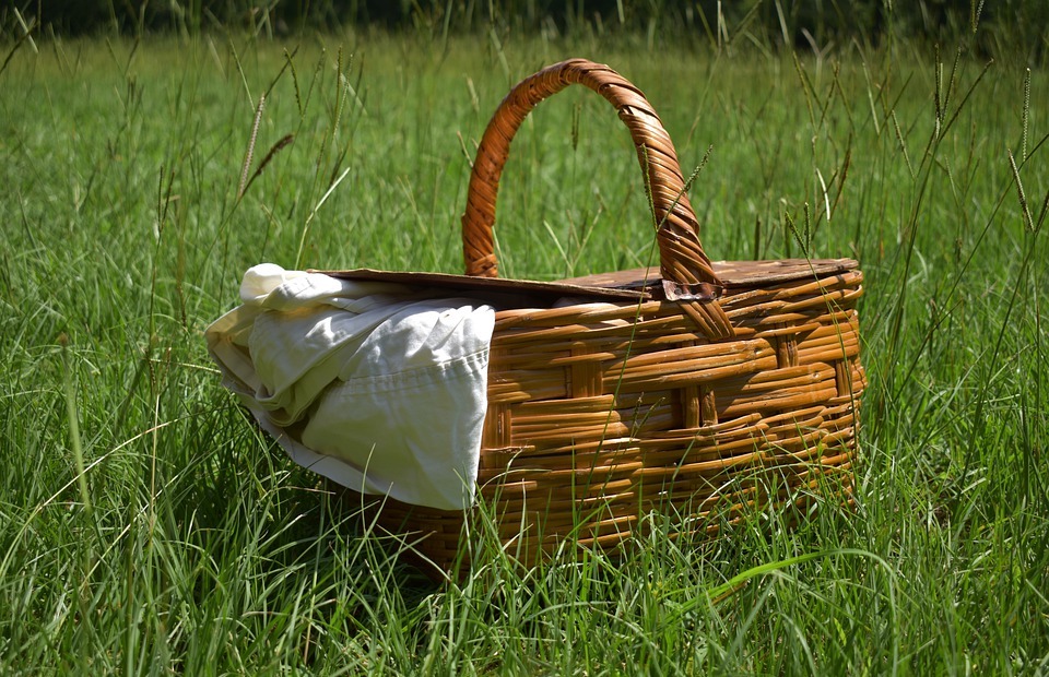 picnic, basket, summer