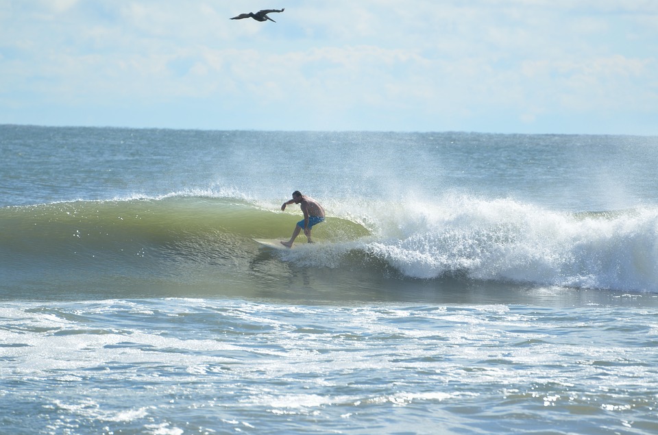 surfer, surfing, ocean