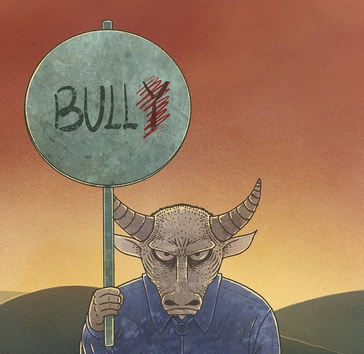 bull, bully, angry