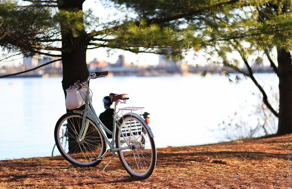 bike, bicycle, travel