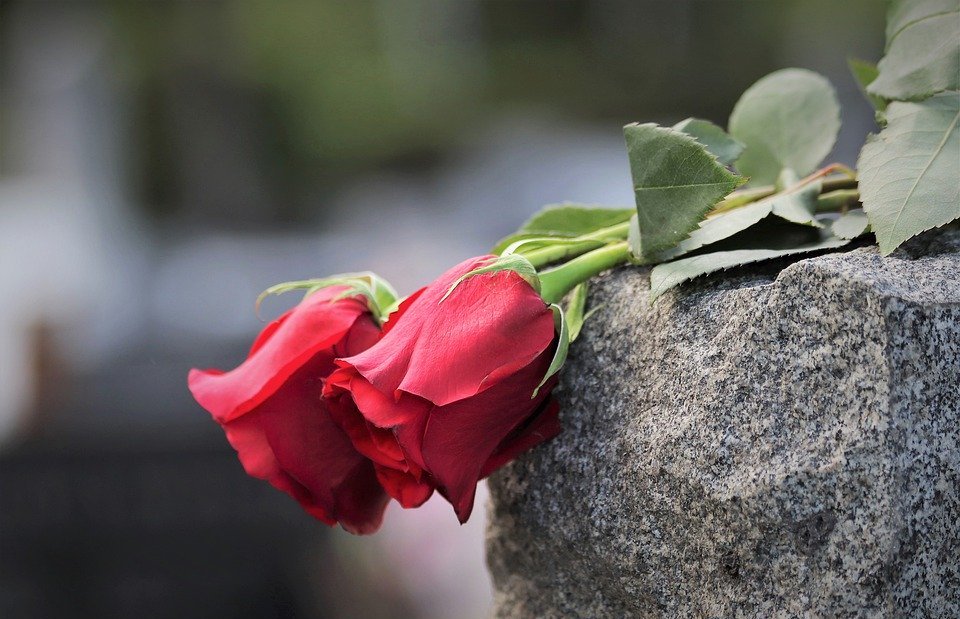 two red roses, loving memory, grey marble