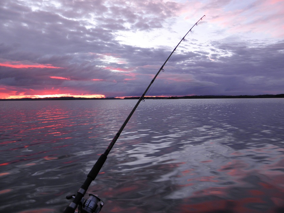 trolling, fishing, sunset