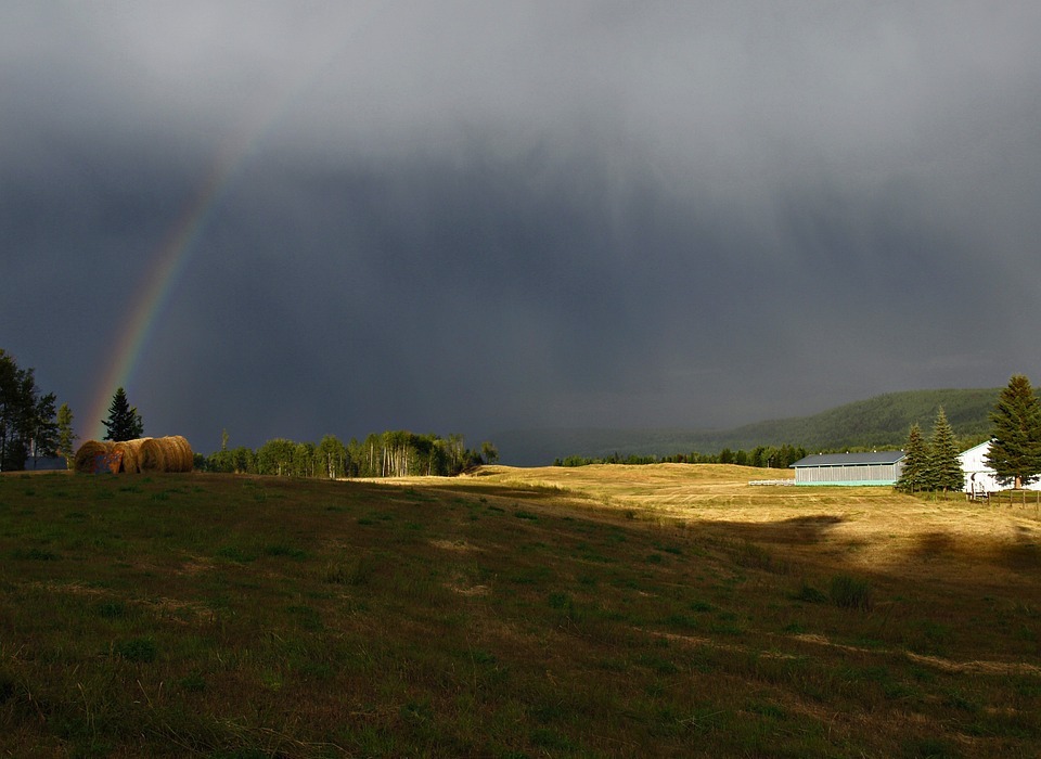 thunderstorm, rainbow, field