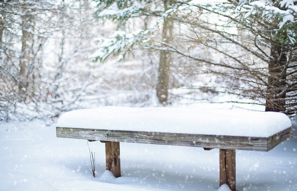 snow, bench, snowy