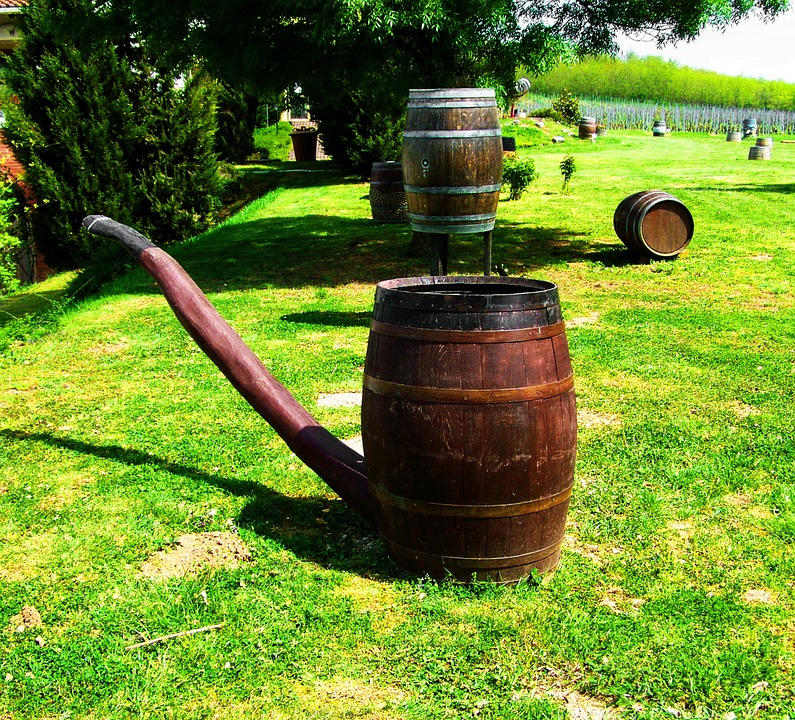 wine barrels, check form, vylian winery