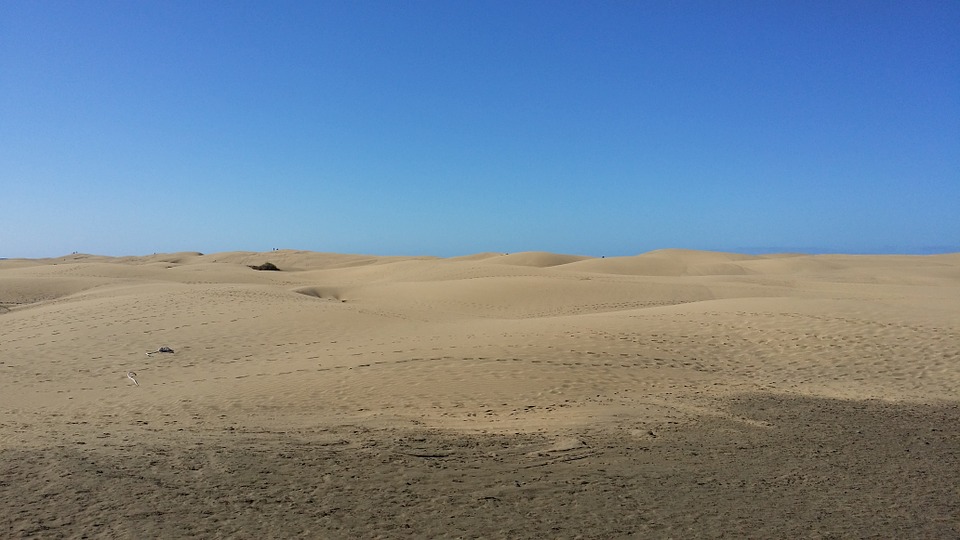 desert, dune, sand