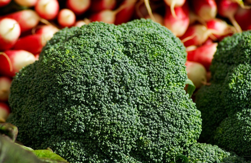 broccoli, radish, vegetables
