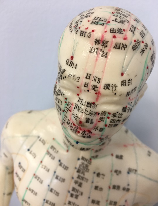 acupuncture, acupuncture model, mannequin