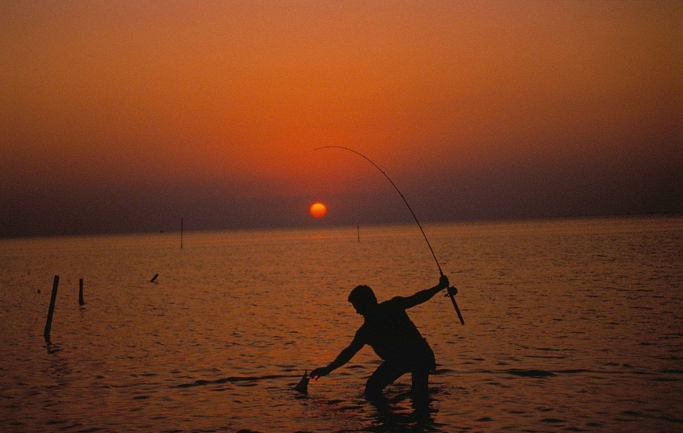 fisherman, sunset, fishing