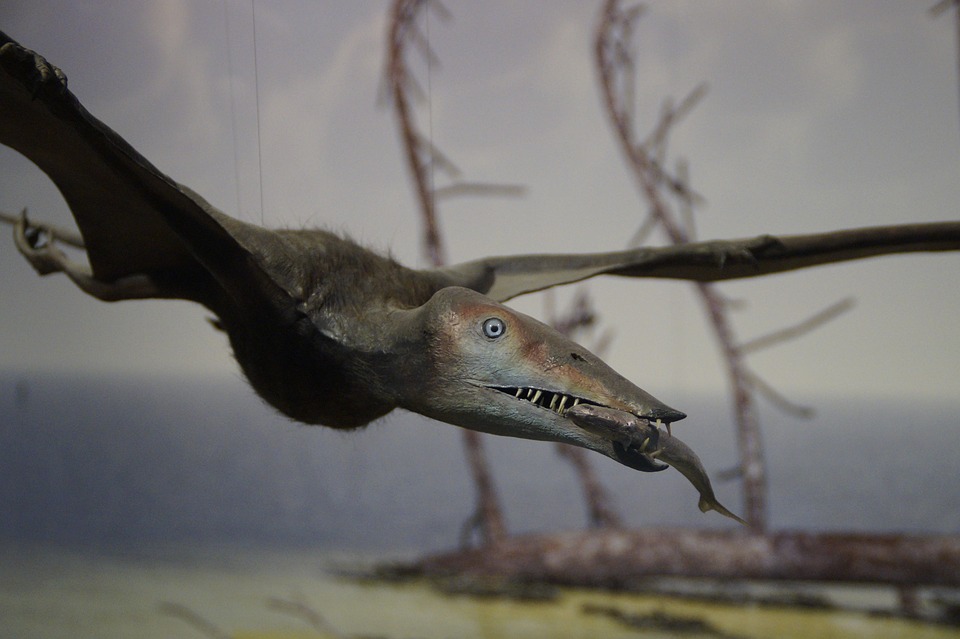 pterosaur, fishing, prey