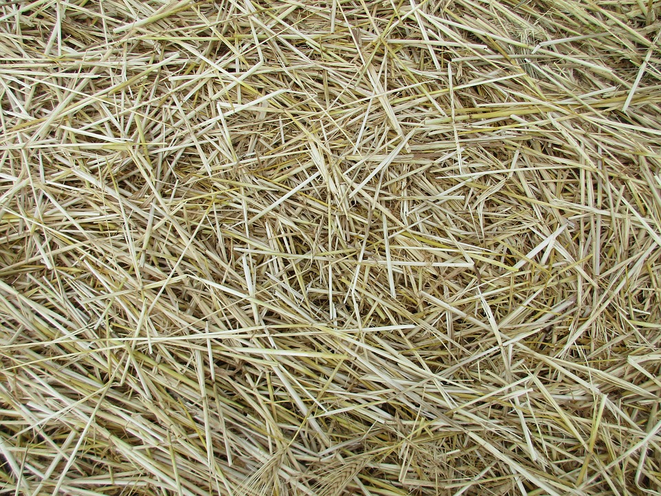 straw, texture, agriculture