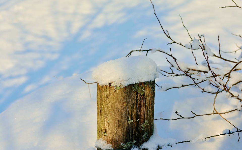 winter, fence post, snowy