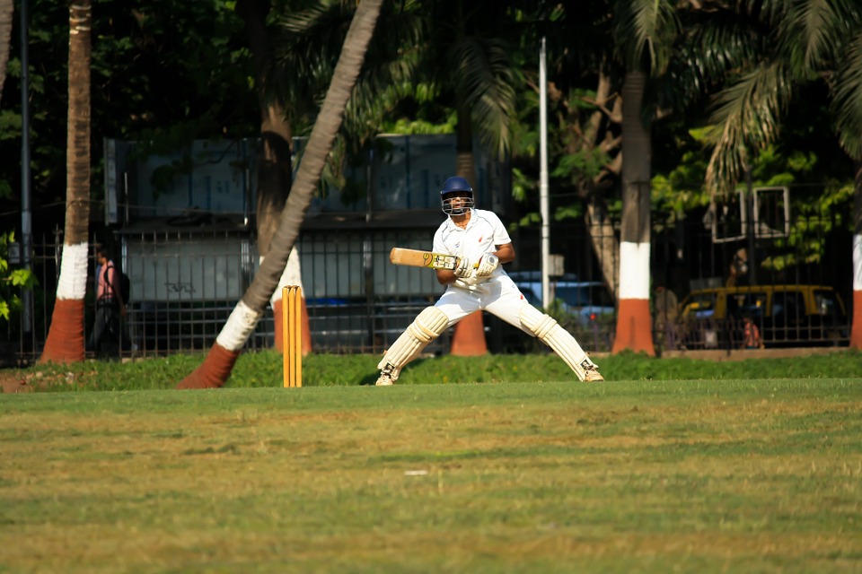 cricket, batsman, player