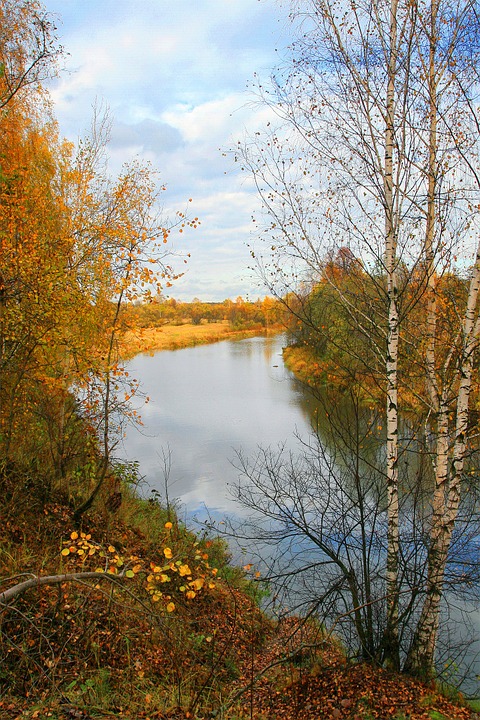 russia, peksha river, landscape