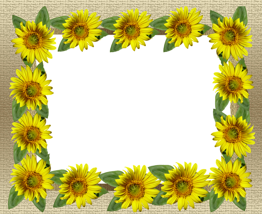 frame, gold, sunflower border