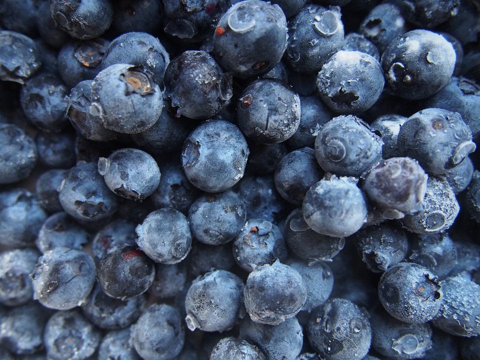 blueberries, fruits, food