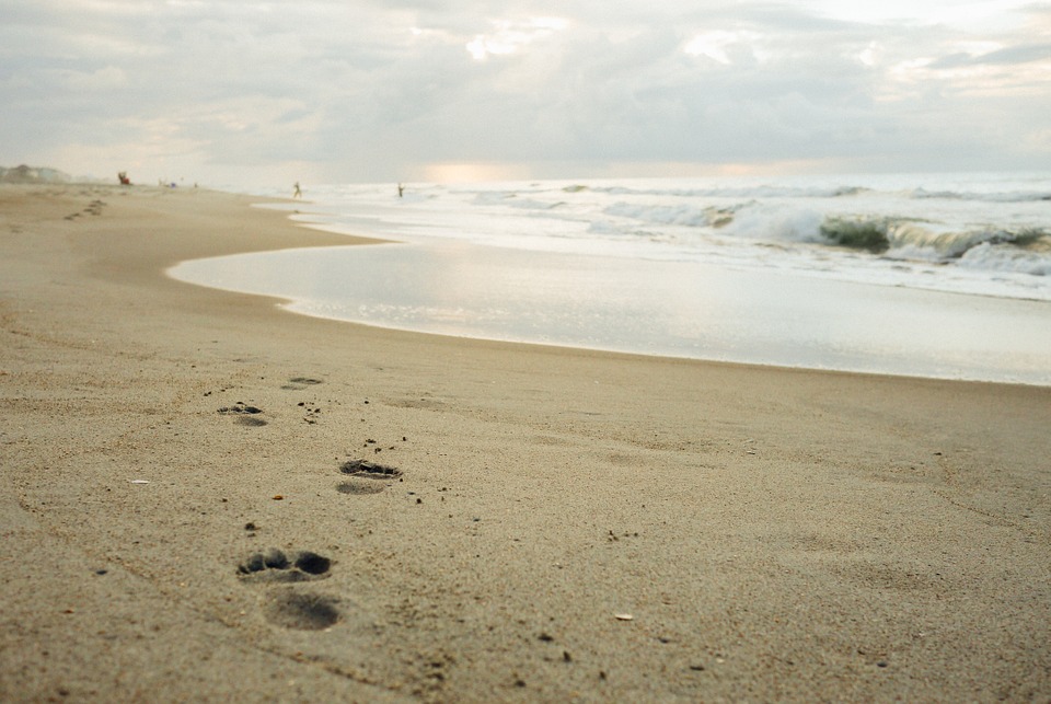 beach, sand, footprints