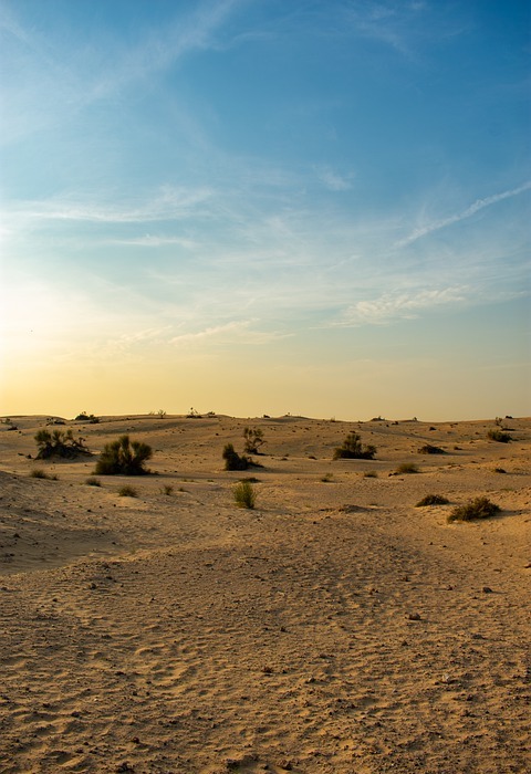 desert, sand dunes, sand