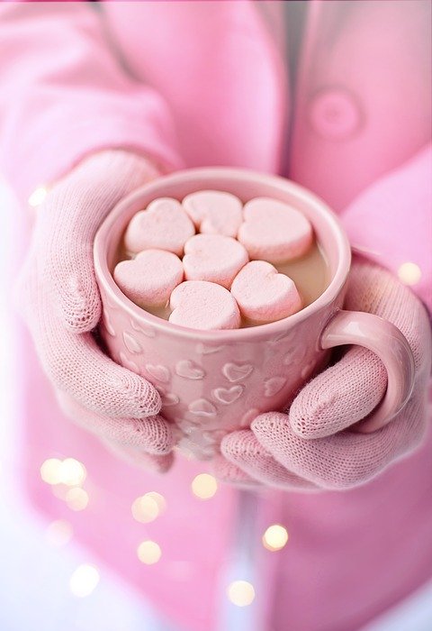 valentine's day, valentine, hot chocolate