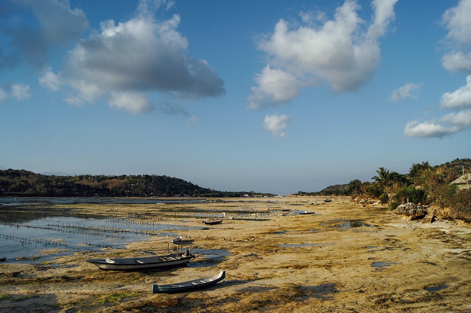 boats, low tide, dry land