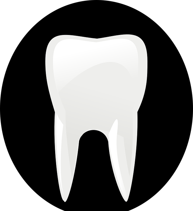 tooth, bite, dentist