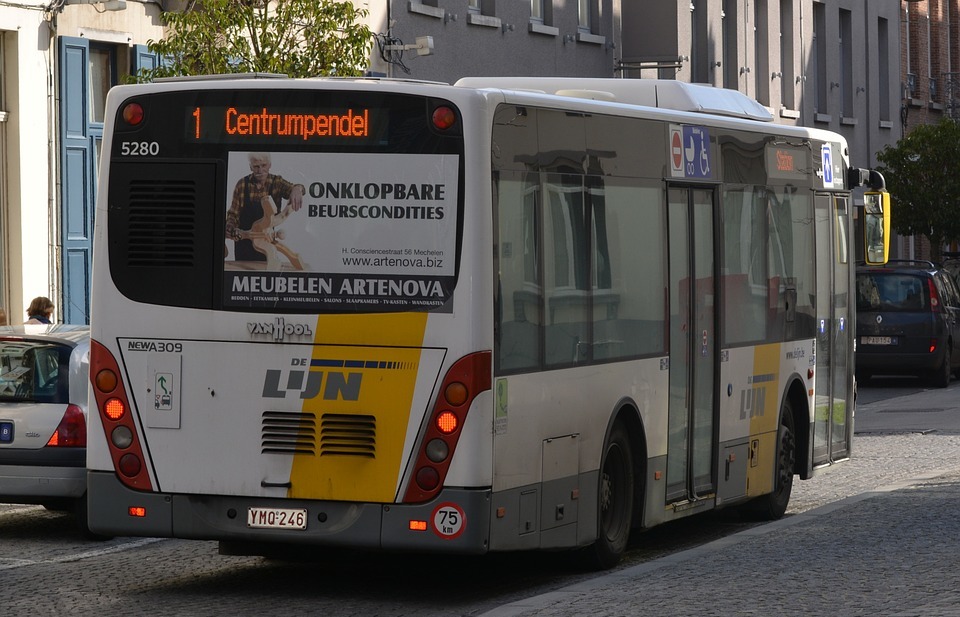 bus, public transport, vehicle