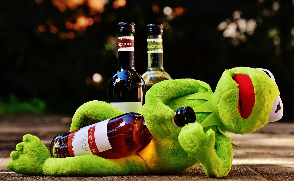 kermit, frog, wine