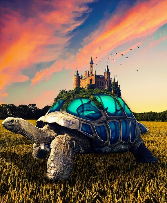 reptiles, castle, tortoise