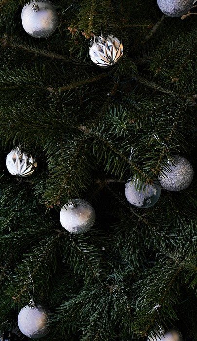 christmas tree, holiday, decoration