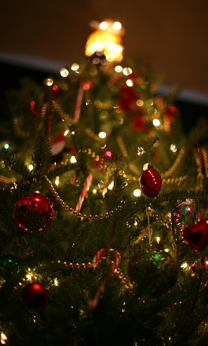 christmas, tree, holiday