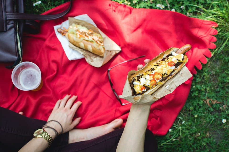 picnic, hot dog, frankfurter