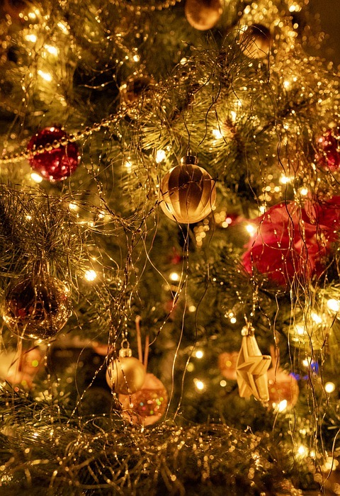 christmas tree, holiday, season