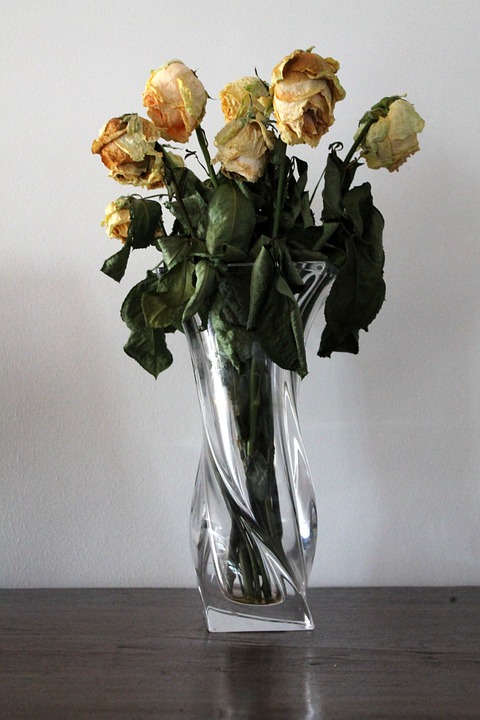 vase, flowers, rose