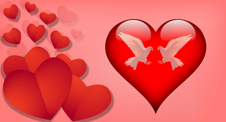 valentine's day, love, affection